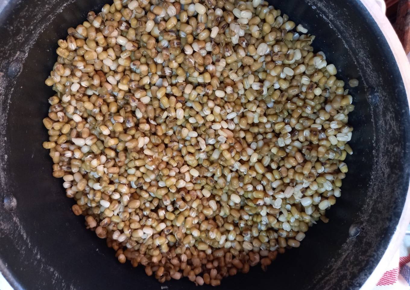 Cocinar (asustar) lentejas, porotos, y cualquier otra legumbre