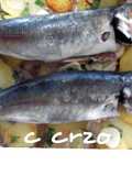 Chicharro - Jurel guisado