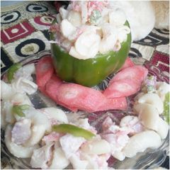 A picture of Macroni mayo salad.