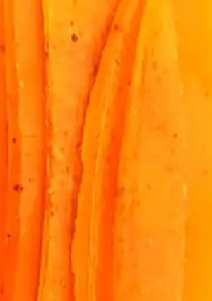 A picture of Homemade aam papad.