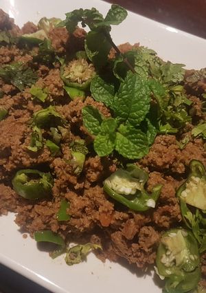 A picture of Mutton qeema hara masala.