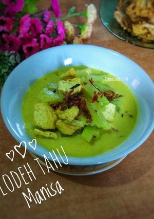 Foto resep Lodeh Tahu Manisa