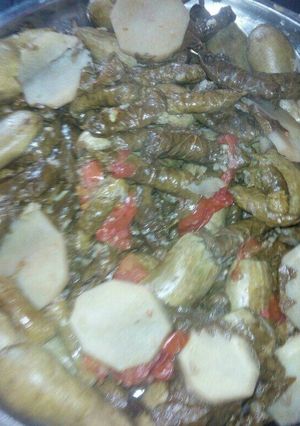 صورة لوصفة ورق عنب وكوسا