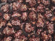 Gambar kue kering cornflakes coklat