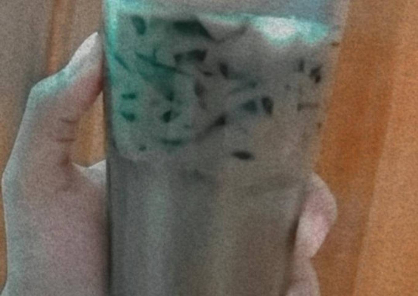 Es chocochinno cincau
