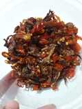 Sambel kering jahat nasii