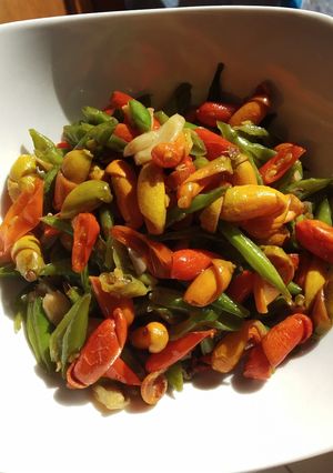 Foto resep Tumis Buncis Kulit melinjo