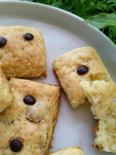 Foto resep Scone Domino (with Cranberries)
