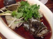 Gambar steam ikan kerapu