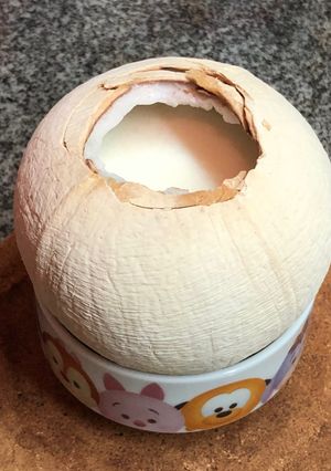 椰皇燉鮮奶 的食譜成品照片