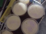 Una foto de gelatina de leche