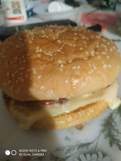 Una foto de Hamburguesa doble de salmón con queso