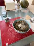 Pasta con verduras y atún