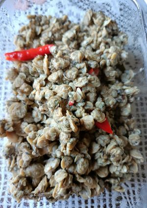 Foto resep Tumis remis saus tiram