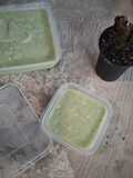 Agar-agar Tape Ketan Ijo