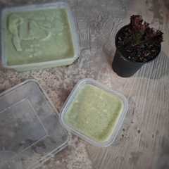 Agar-agar Tape Ketan Ijo-レシピのメイン写真