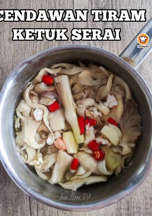 Gambar Cendawan Tiram Ketuk Serai