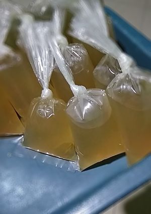 Foto resep Kaldu udang
