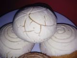 Conchas