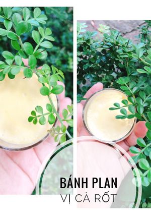 Hình của món Ăn dặm - Bánh plan vị cà rốt.