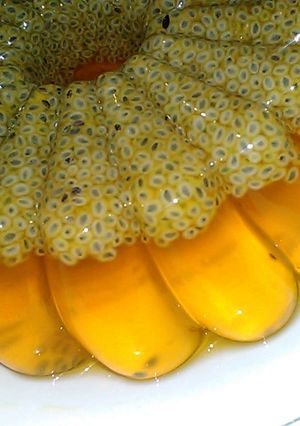 Foto resep Puding jeruk peras + biji selasih