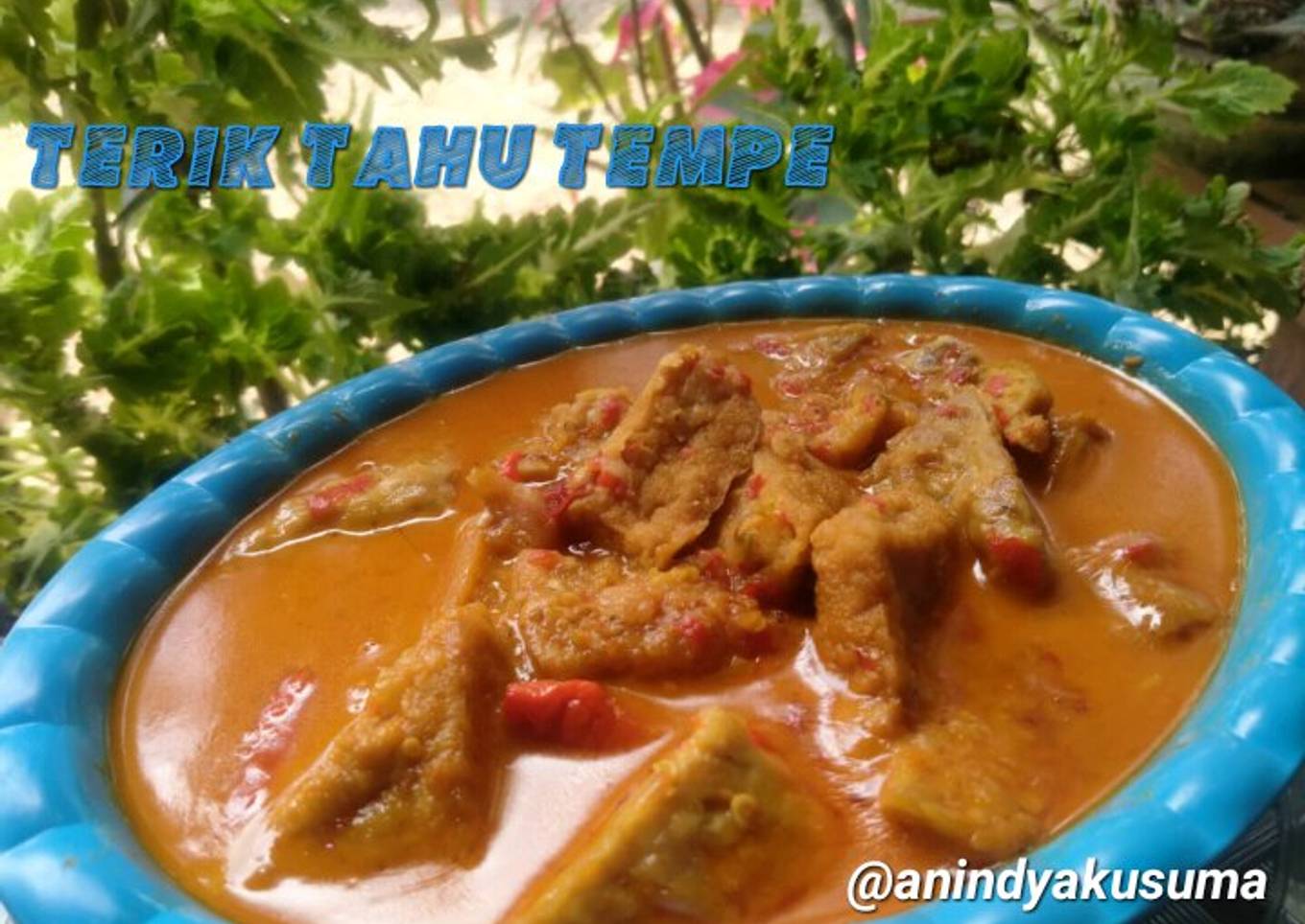 Terik tahu tempe
