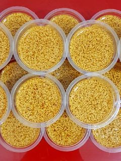 Foto resep Puding Lumut Gula Merah