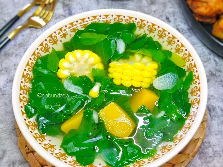 Langkah Gampang Membikin Resep  Sayur Bening Daun Katuk yang Enak Banget, Enak