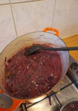 A picture of Simple red cabbage.