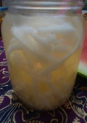 Foto resep Es Jeruk Nutrijel