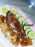 Gasassan kifi tarwada(Tilapia)