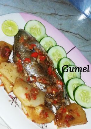Gasassan kifi tarwada(Tilapia) ainihin hoton girkin