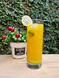 Mango Mojito