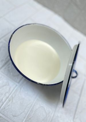 Homemade greek youghurt ainihin hoton girkin