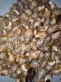 Oseng Keong Macan