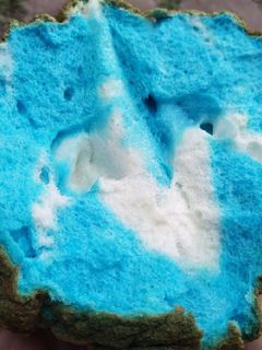 Foto resep Cloud Bread ☁