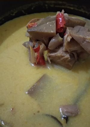 Foto resep Lodeh Nangka Muda / Tewel