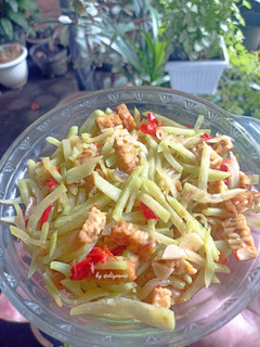 Foto resep Tumis Labu Siam Tempe Enduls #491