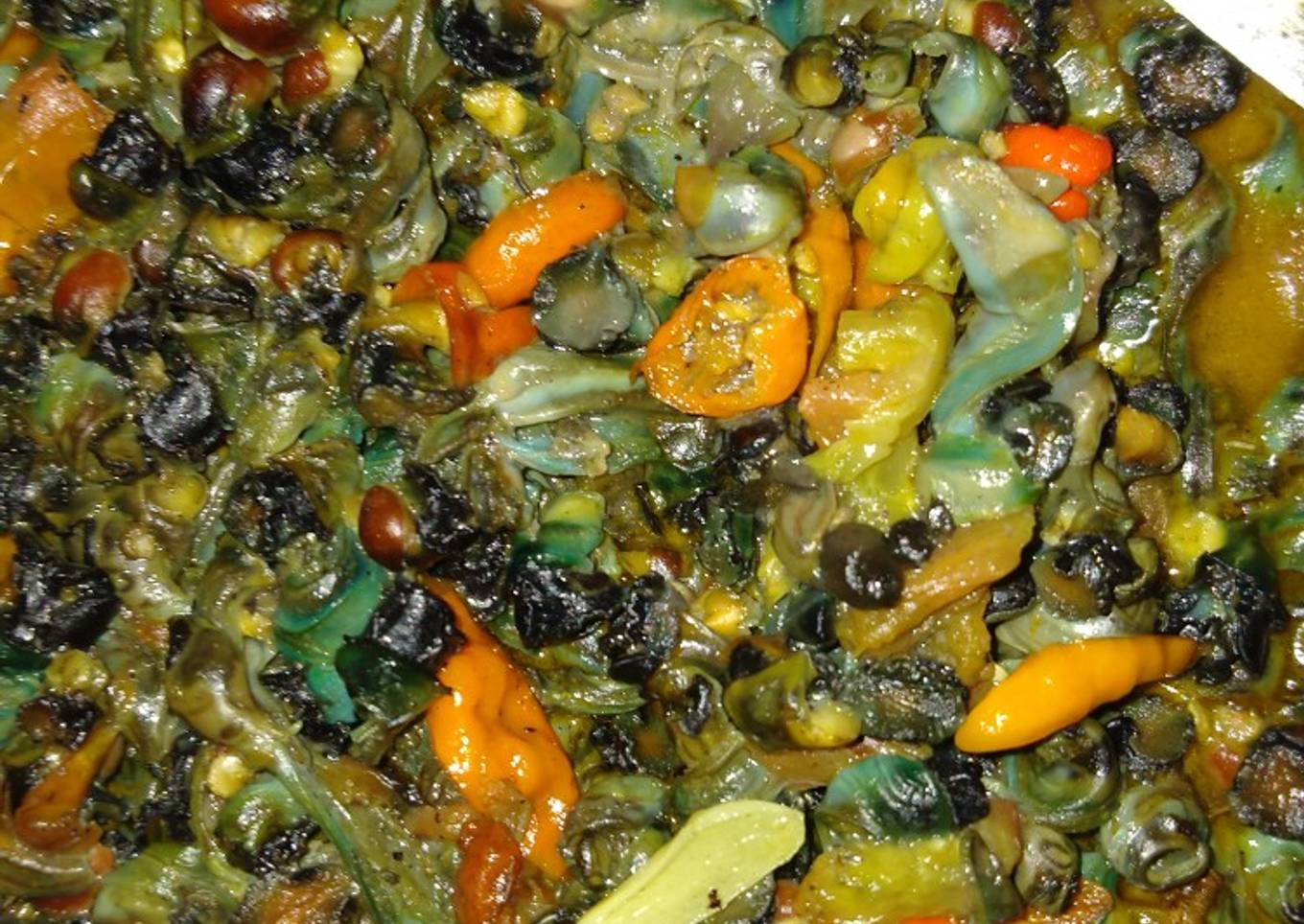 Siput Rica-Rica