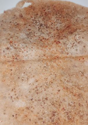 A picture of Masala parantha.