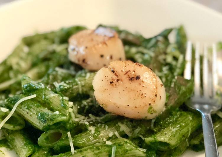Spinach penne with panfried scallop