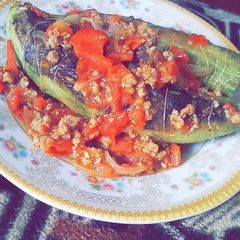 A picture of Stuffed Qeema Karela.
