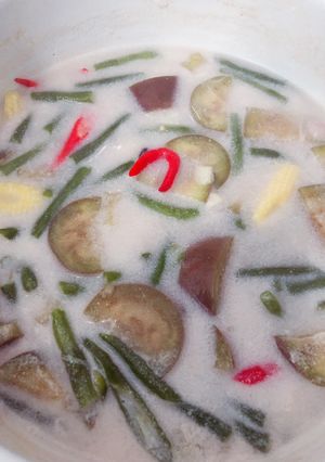 Foto resep Sayur Lodeh iris (mickyal)