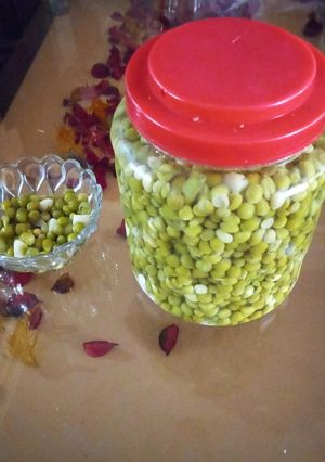 عکسی از دستور طرز نگهداری نخود فرنگی