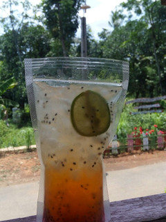 Foto resep Orange mojito