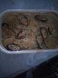 Riso cozze e patate