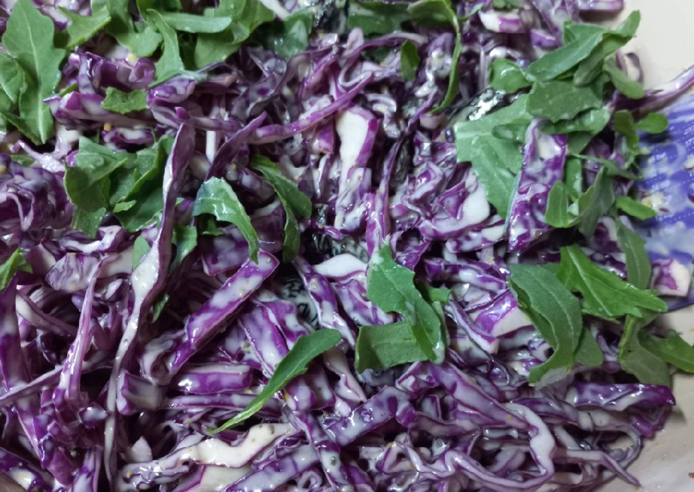 Coleslaw with Raisins and Chia seeds