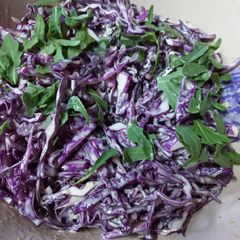 A picture of Coleslaw with Raisins and Chia seeds.