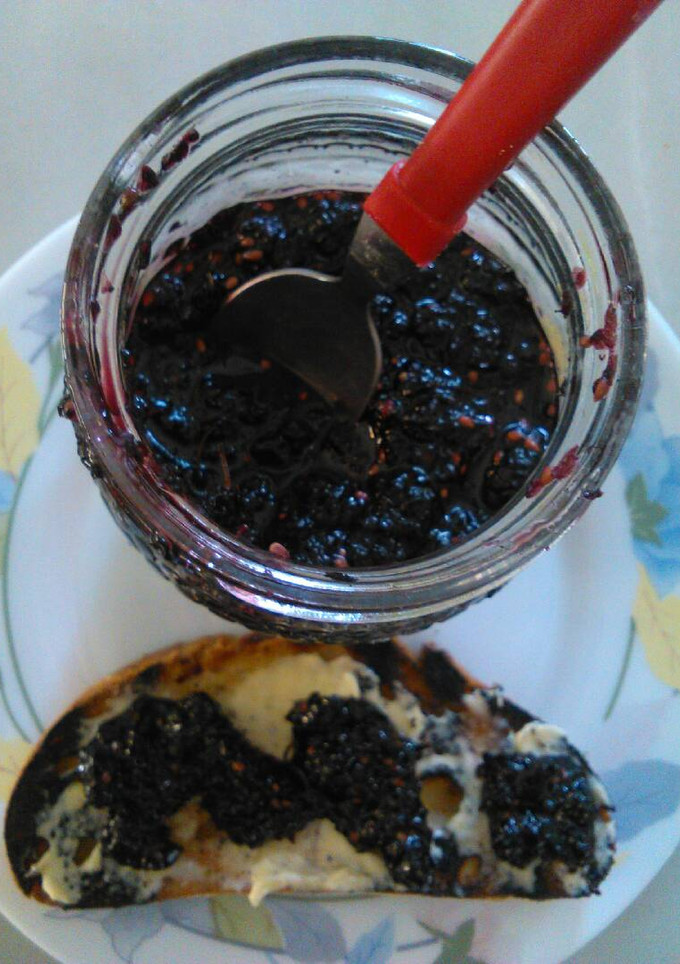 Una foto de Confitura de moras ecológicas