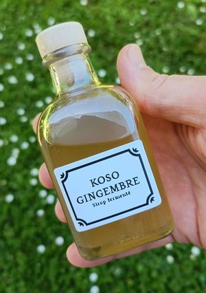 Une photo de 🫚Koso au Gingembre (Sirop Fermenté)